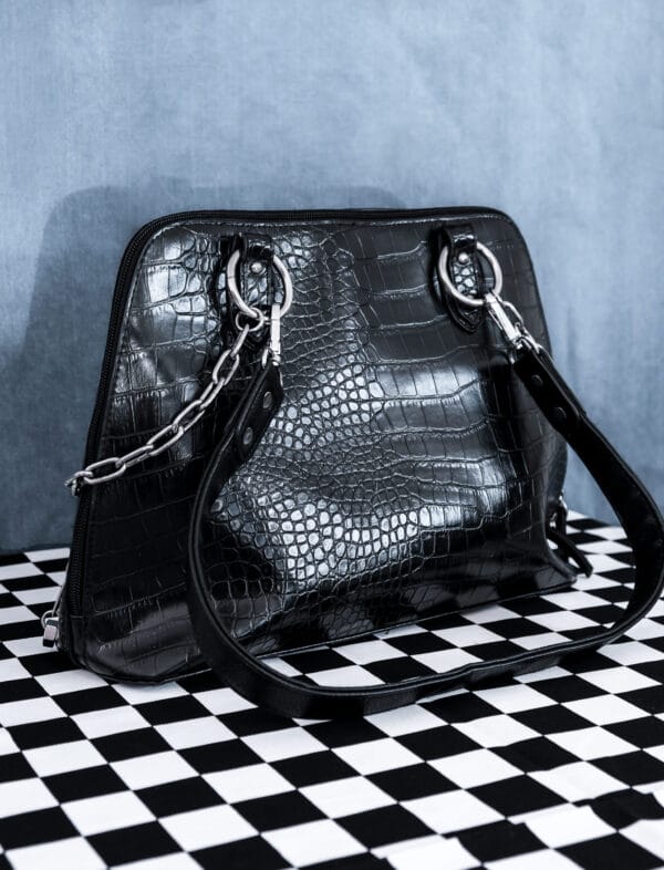 Record Bag