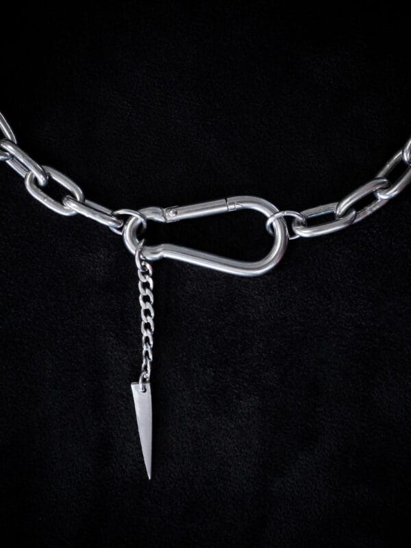 Carabiner Ultra Thick Chain