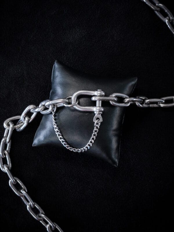 D Shackle Ultra Thick Chain