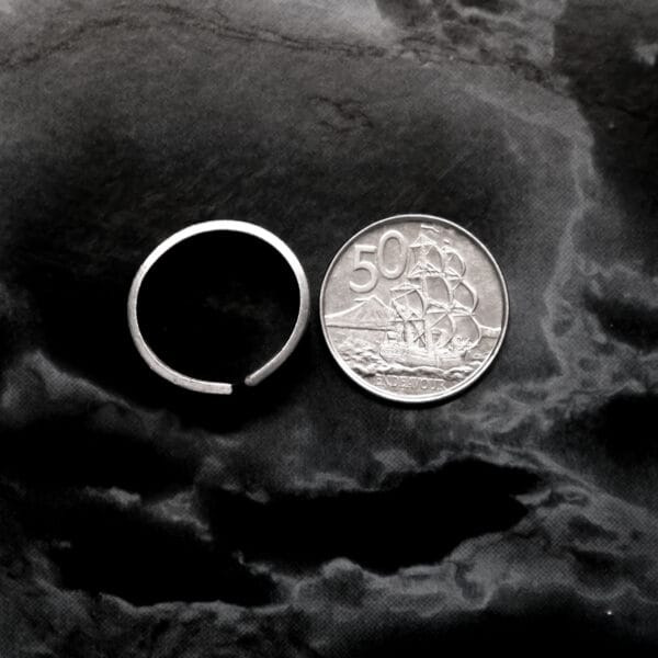 Queer Punched Ring (Size Q)
