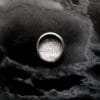 Sprigs Ring (Size T)