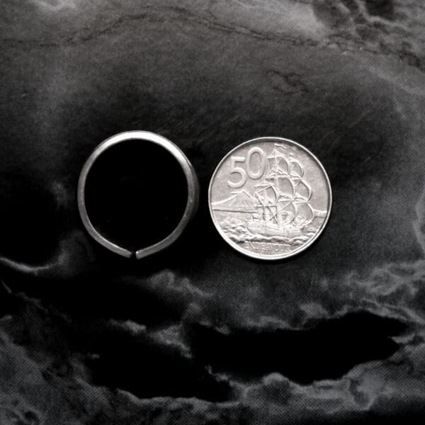Sprigs Ring (Size T)
