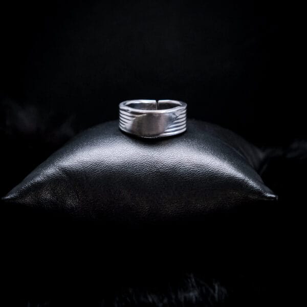 Smooth & Stripey Ring (Size N)