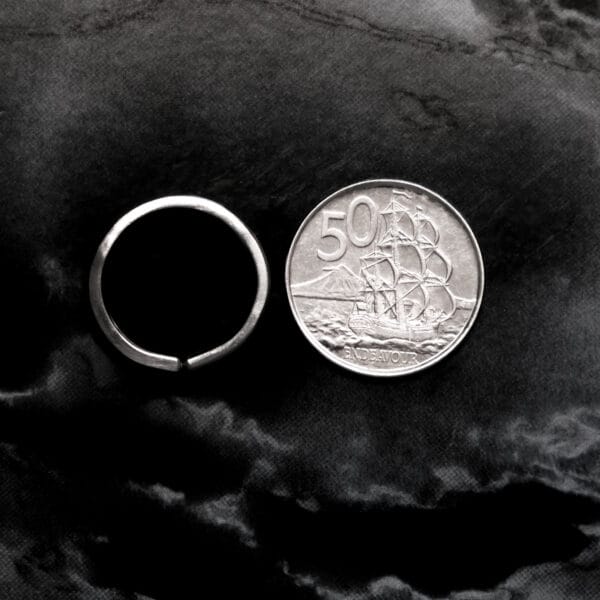 Smooth & Stripey Ring (Size N)