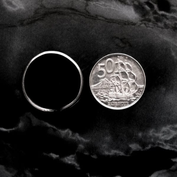 Bi Punched Ring (Size Z+2)