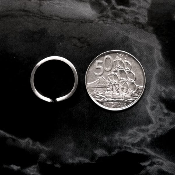 Little Punched Cxnt Ring (Size i)