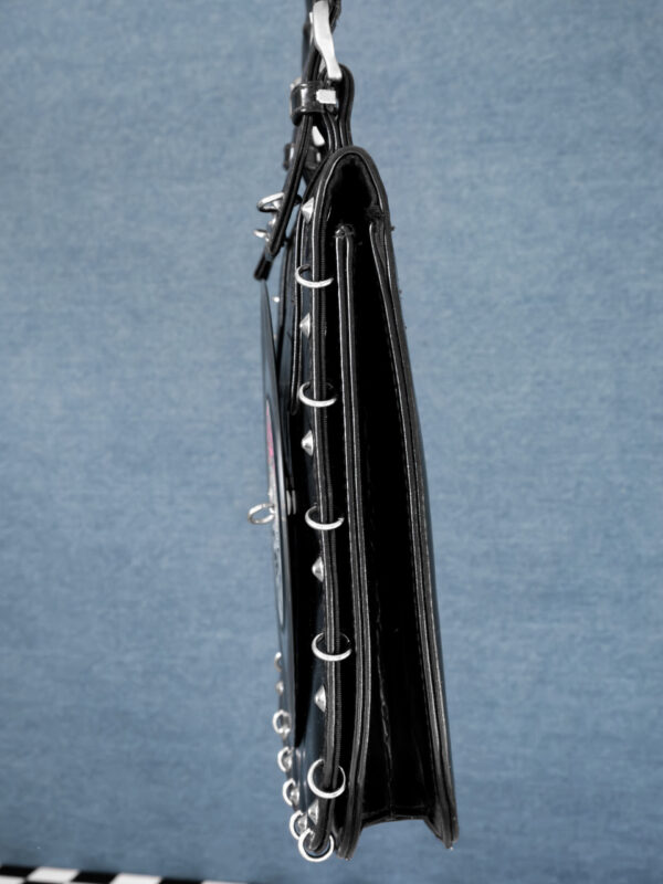 Wizard Record Bag